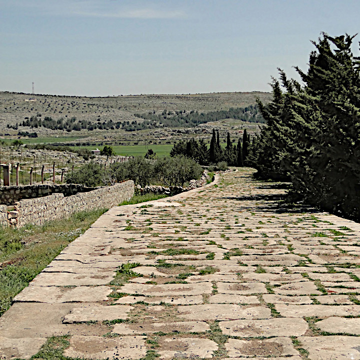 Ancient Roman road of Tall Aqibrin, Syria