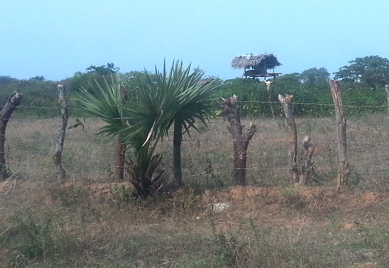 Elephant-watching tower in the fields