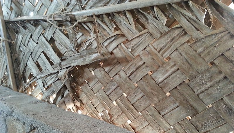 The wall of a building made of palm branches