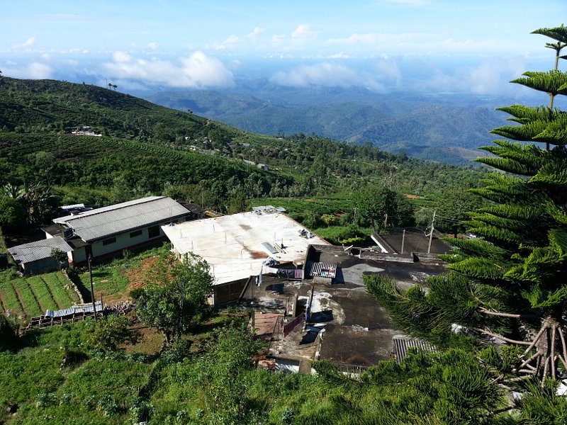 Above the clouds: The view from our window when we got up.