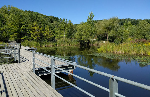 Don Valley Brickworks