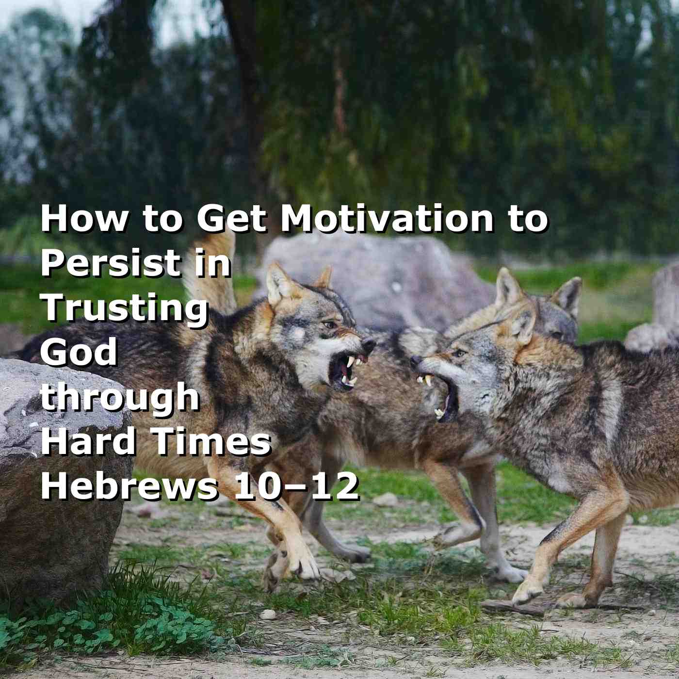 How to Get Motivation to Persist in Trusting God through Hard Times — Hebrews 10-12 (pt.15) How to Get Motivation to Persist in Trusting God through Hard Times — Hebrews 10-12 (pt.15)