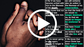 Understanding Easter: Joined to Jesus—A Truth that can have a Massive Impact if we get it