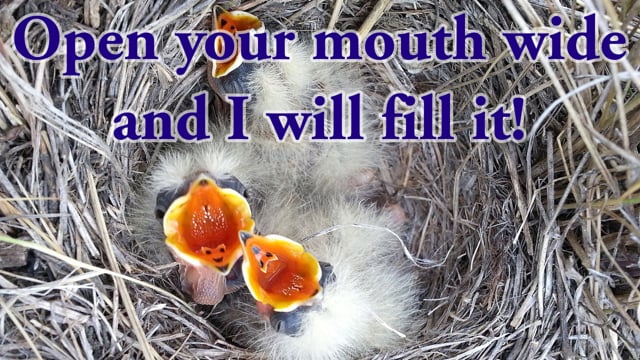 See video