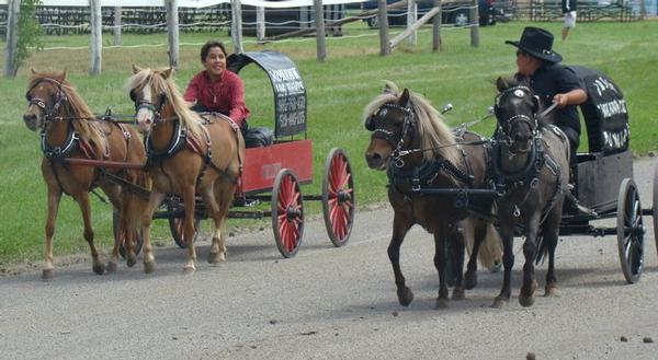  erin-fair-chuckwagon.jpg