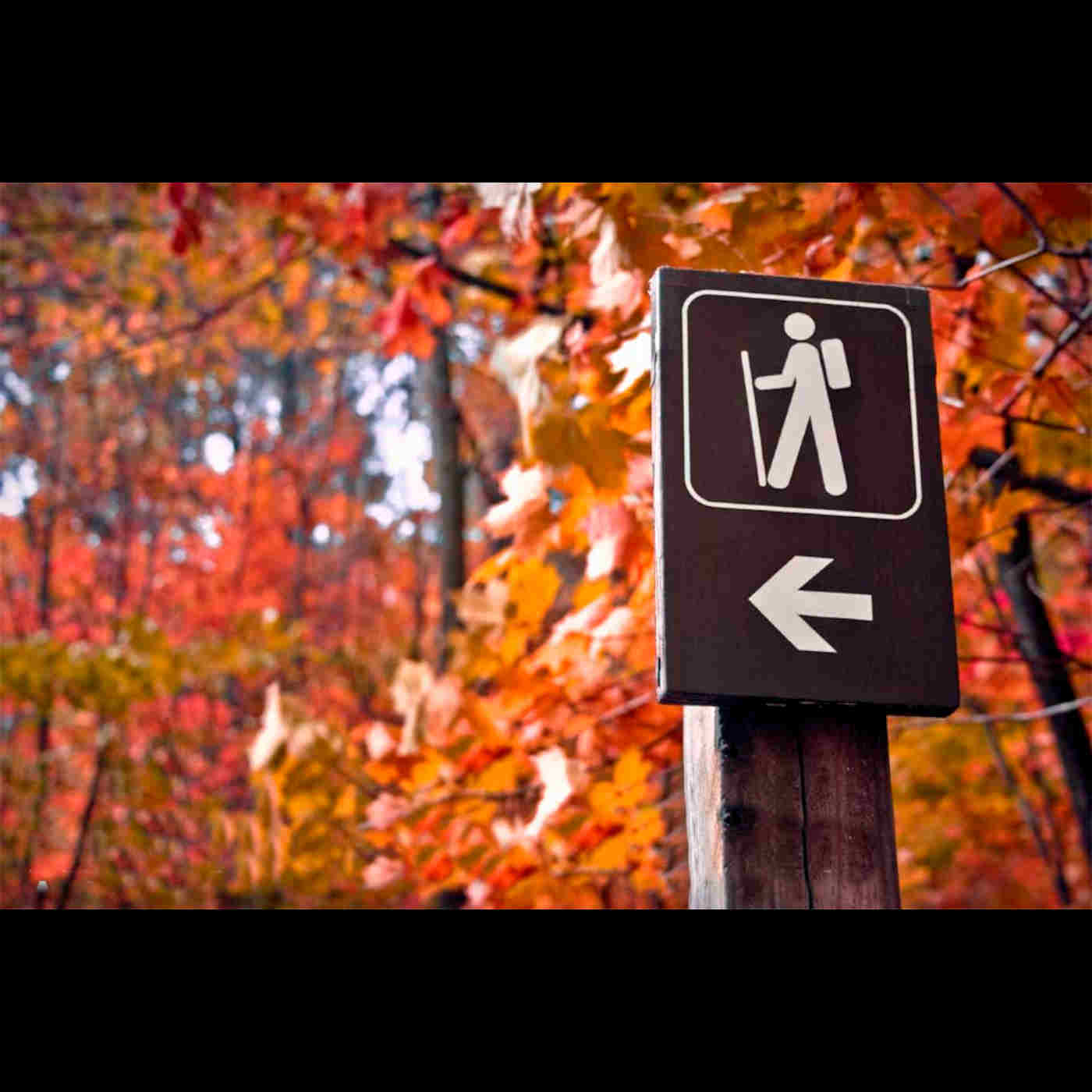 What does it mean to walk in the Spirit? (Gal 5:13-6:2)