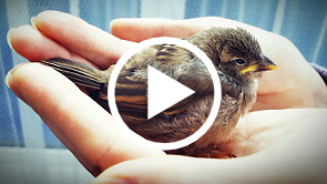 May God Supply your Every Need — Phil 4:14-20 (pt.10)